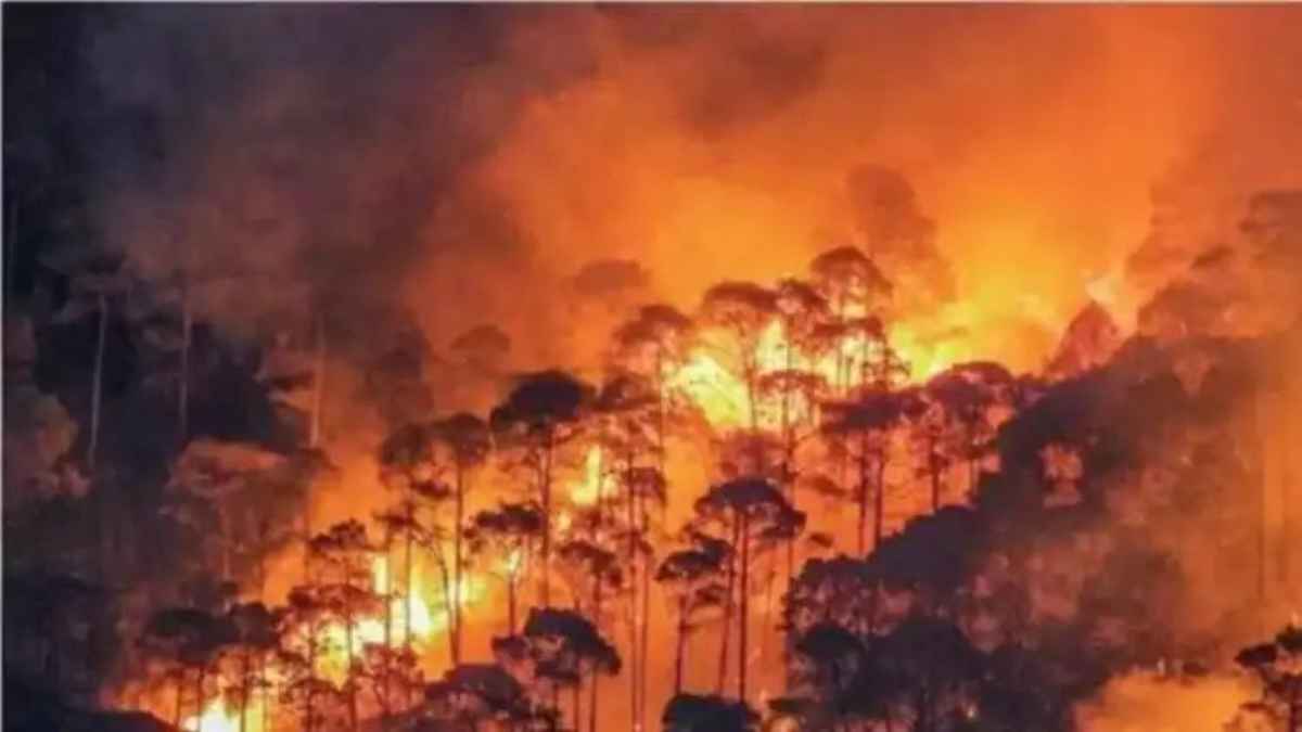 सैटेलाइट अलर्ट के बावजूद सुलग रहे हैं जंगल: अप्रैल में 50% बढ़ी आग की घटनाएं, बेअसर साबित हो रही चेतावनी? ForestFire