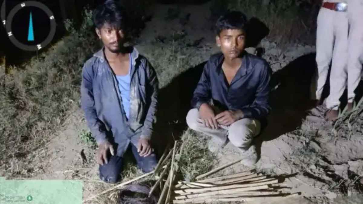 WildlifeProtection