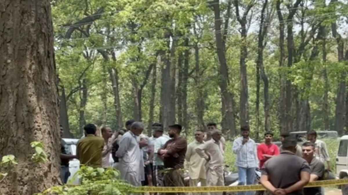 Dead Body In Forest 