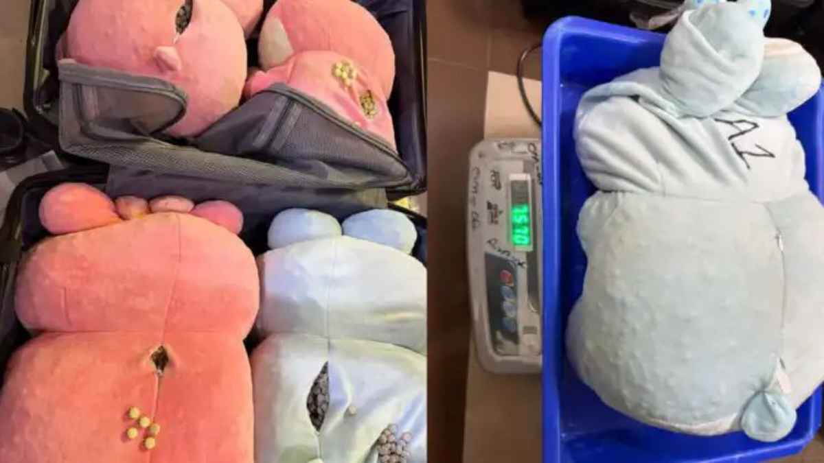अमृतसर एयरपोर्ट: कस्टम ने सॉफ्ट टॉय में छिपाया 5 करोड़ का ‘गांजा’ पकड़ा, बैंकॉक से आ रहा था यात्री DrugSmuggling