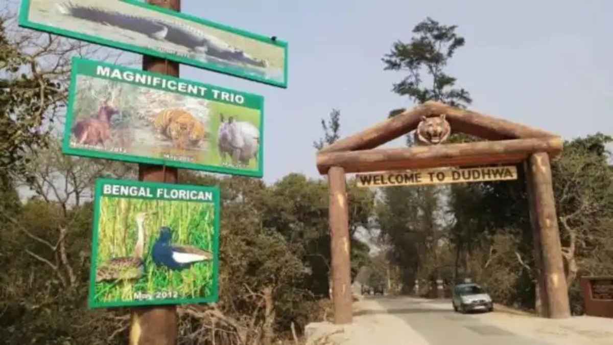 दुधवा टाइगर रिजर्व: पर्यटकों के लिए गैंडा क्षेत्र का भ्रमण बंद, हाथी ‘विनायक’ के हिंसक व्यवहार से बढ़ा खतरा DudhwaTigerReserve