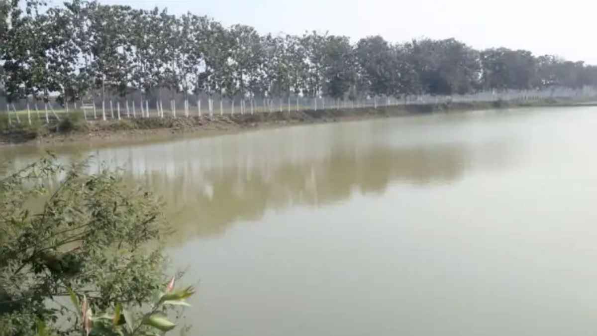 Fisheries