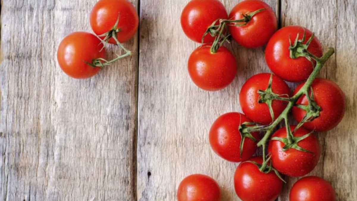 क्या आप भी असली समझकर खा रहे हैं हाइब्रिड टमाटर? किसान ने बताए पहचान के 3 जादुई तरीके Hybrid Tomatoes