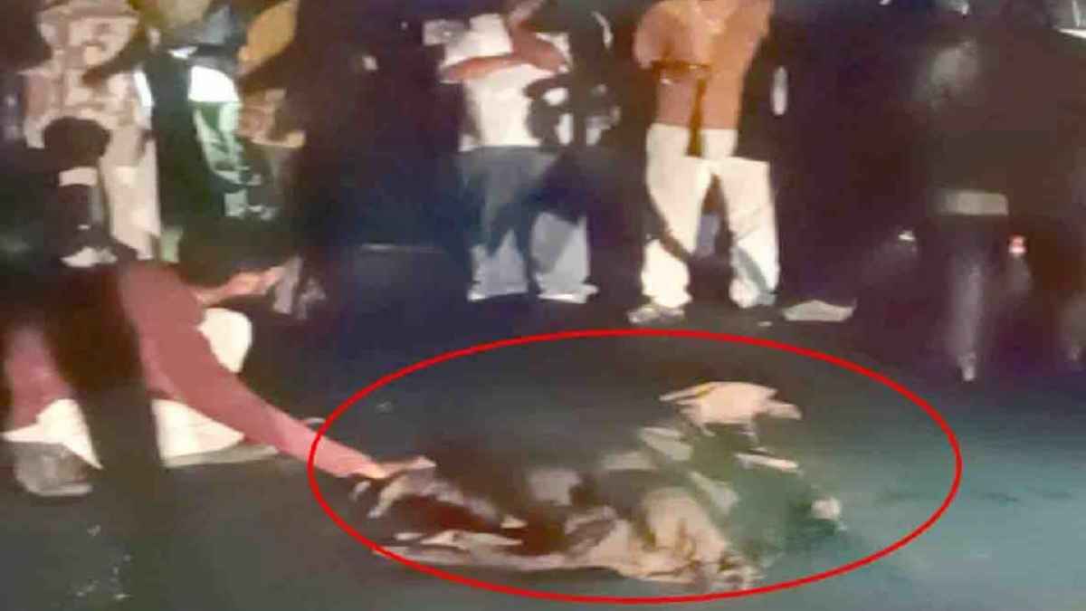 Jwalamukhi Road Accident