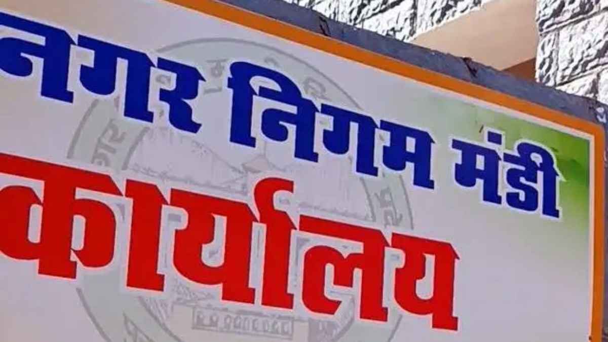 MC Mandi Election