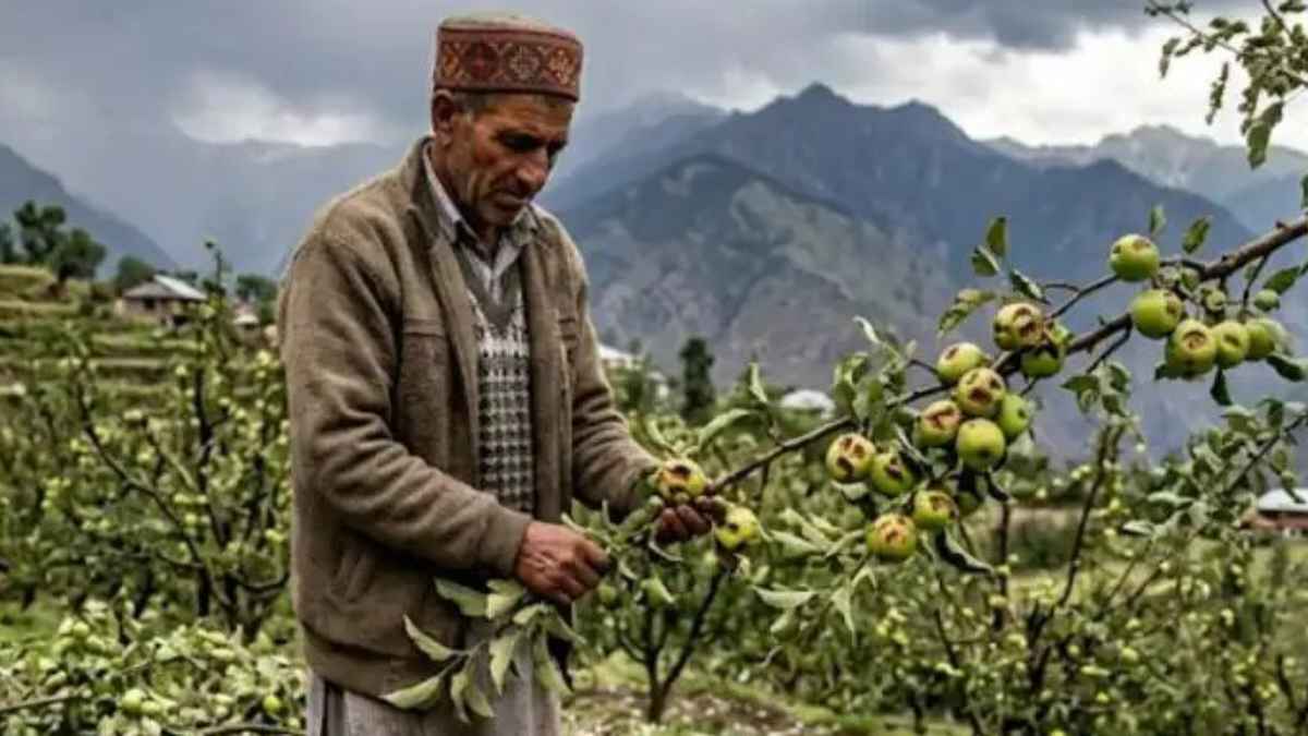 Natures fury in Himachal