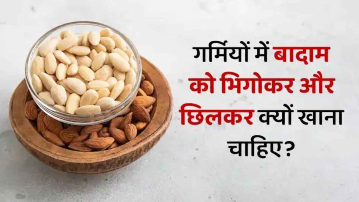 गर्मियों में बादाम भिगोकर खाना क्यों है जरूरी? एक्सपर्ट्स से जानिए इसके पीछे का वैज्ञानिक तर्क Nutrition