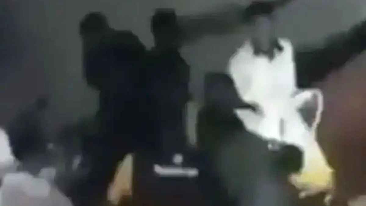 नाइजीरिया में मानवता शर्मसार: पारंपरिक उत्सव की आड़ में महिलाओं से सामूहिक बर्बरता, आक्रोश में दुनिया Rap Festival