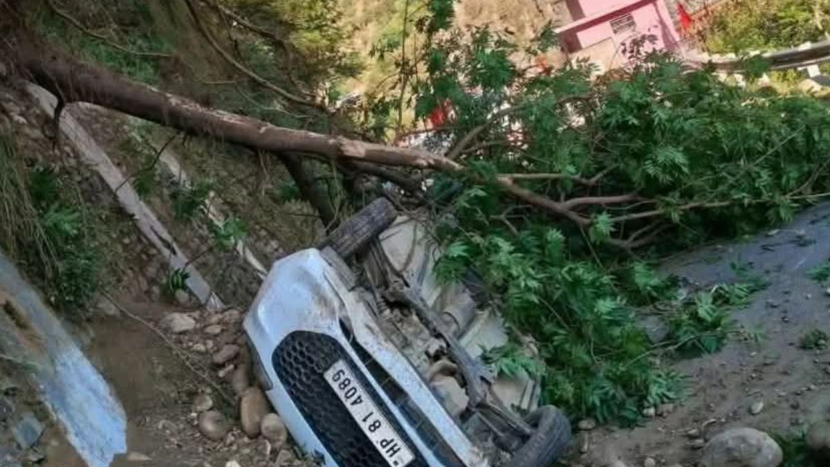 मौत को छूकर वापस आए 5 लोग: चंबा में 50 मीटर गहरी खाई में गिरी कार, एक पेड़ ने बचाई सबकी जान chamba accident